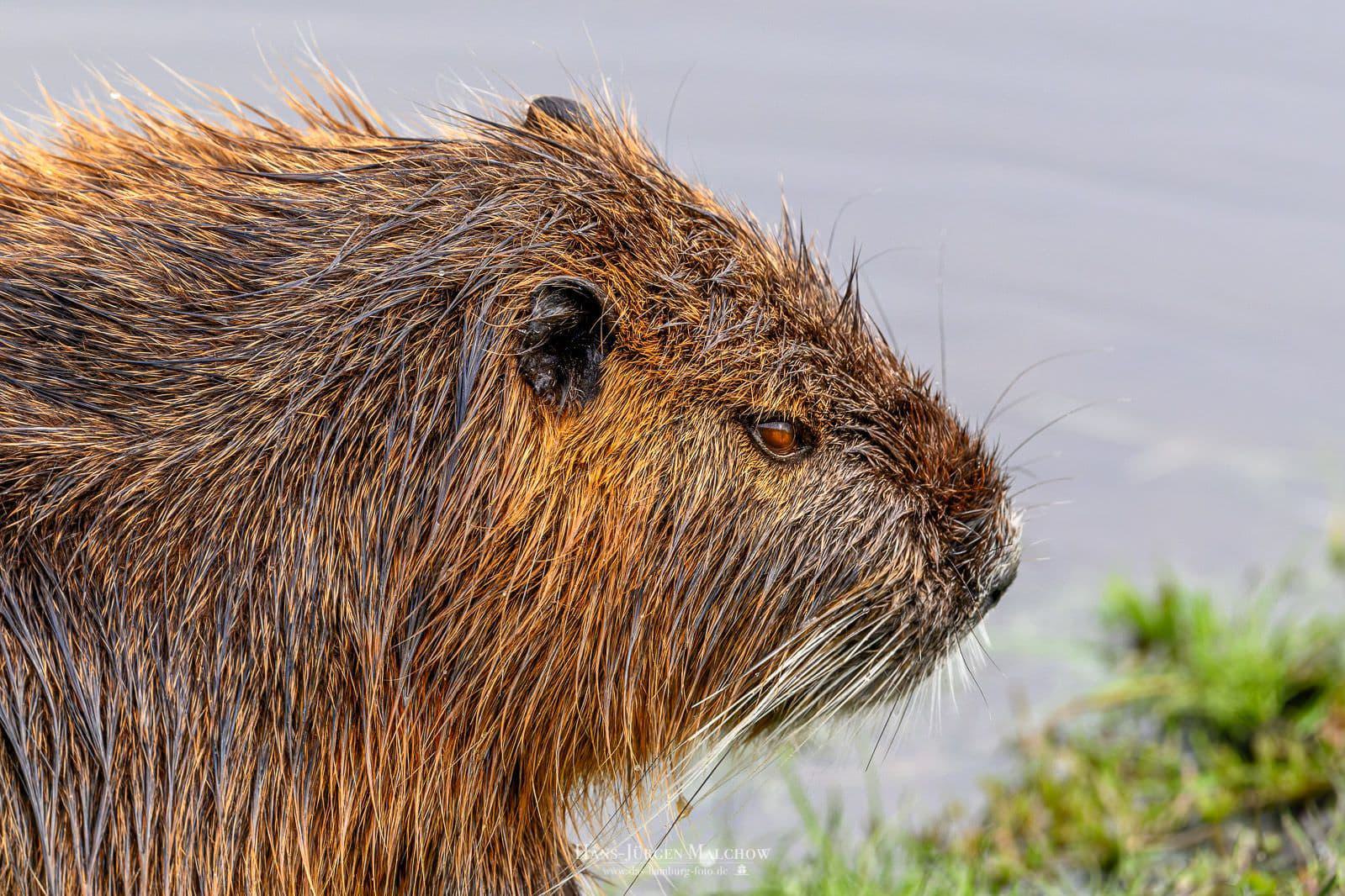 _DSC2624_DxO-Bearbeitet