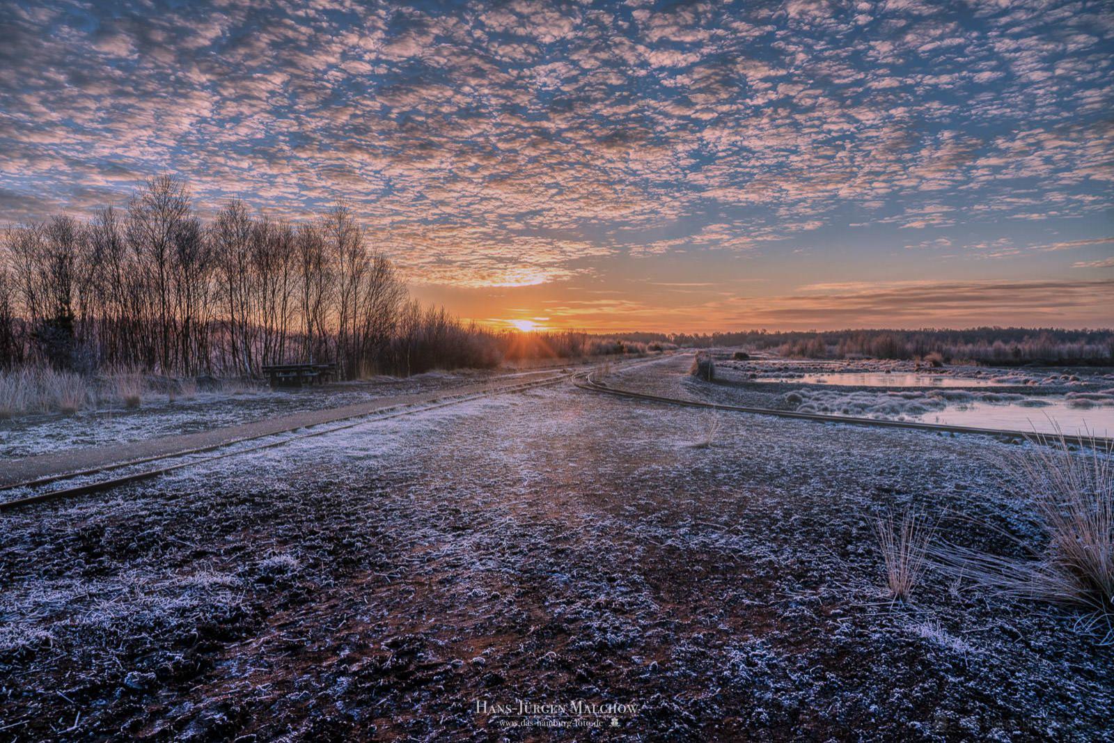 Eine gefrorene Landschaft im Morgengrauen mit einem von Bäumen gesäumten Weg und einem Himmel voller kleiner Wolken, der vom Sonnenaufgang rosafarben 