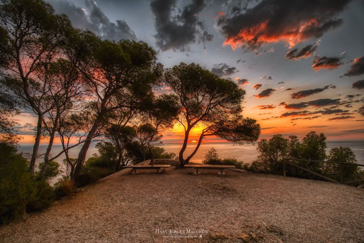 Zwei Bänke stehen auf einem Hügel mit Bäumen im Vordergrund und einem Sonnenuntergang über dem Meer im Hintergrund.